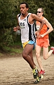 2011 BayXC-311